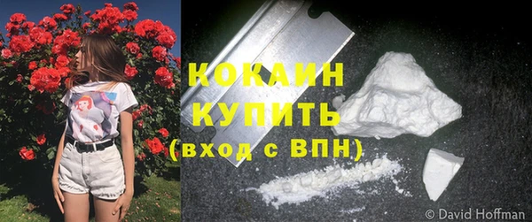 шишки Саяногорск
