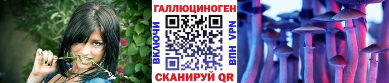 Галлюциногенные грибы Psilocybe  Ирбит 