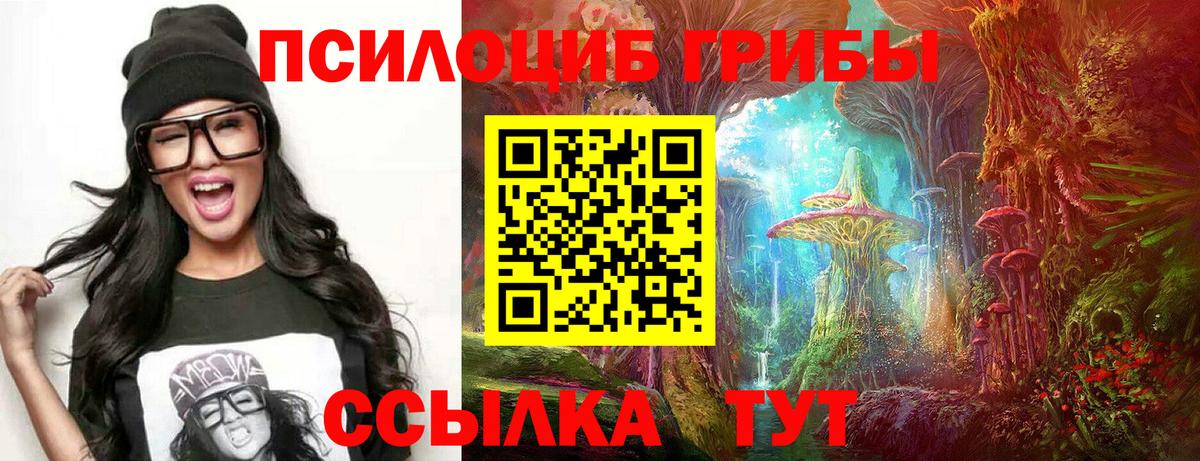 Ирбит  Галлюциногенные грибы прущие грибы  Галлюциногенные грибы мухоморы  Вход с VPN 